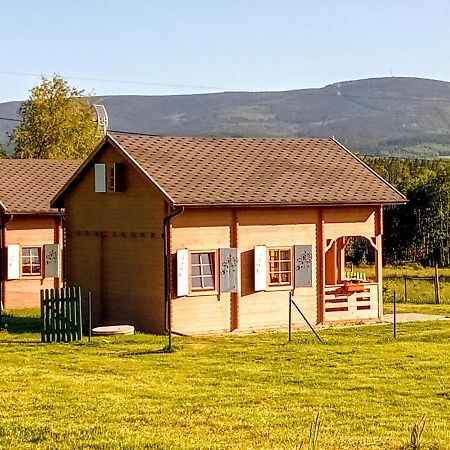 Brzozami Malowane Giebultow  Zewnętrze zdjęcie